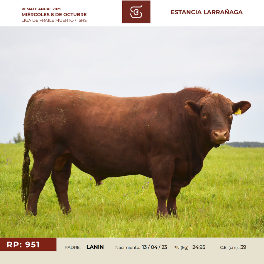 Lote RP 951