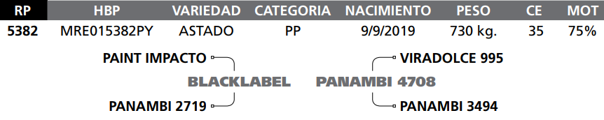 Lote LOTE  74  RP 5382