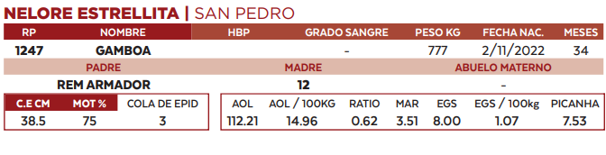 Lote LOTE 16