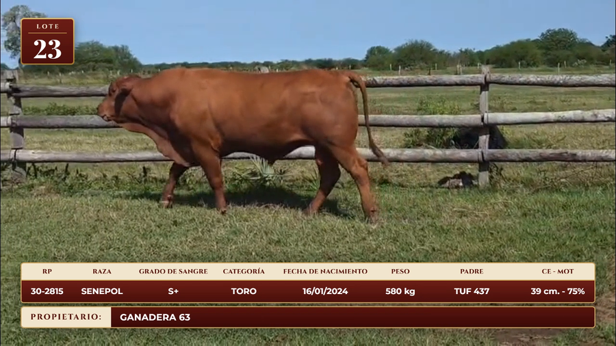 Lote LOTE 23
