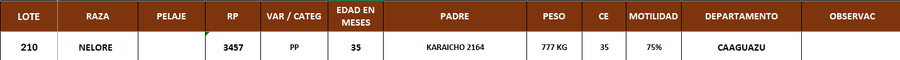 Lote LOTE 210