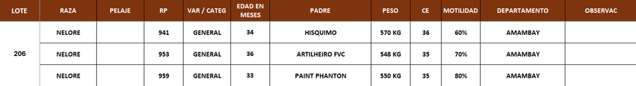 Lote LOTE 206 - POR PANTALLA