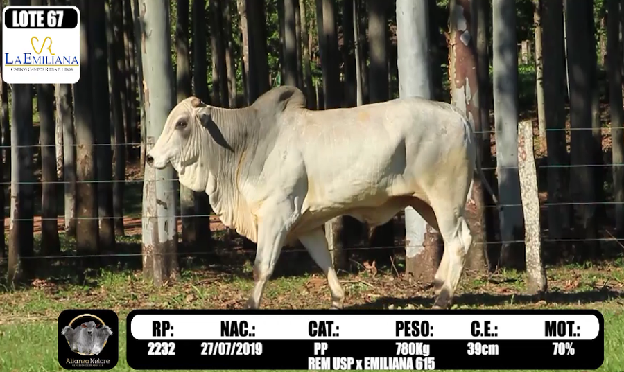 Lote LOTE 67-  RP K2232