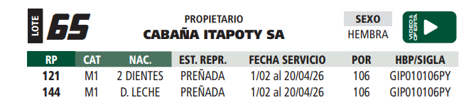 Lote LOTE 65