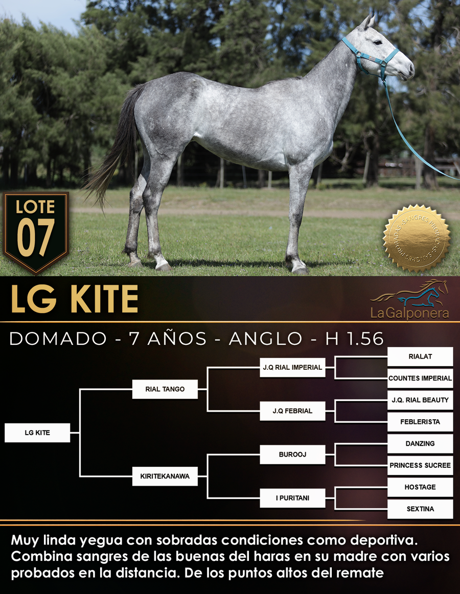 Lote LG KITE
