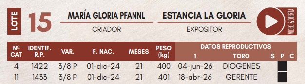 Lote LOTE 15 - VAQUILLAS DE CAMPO