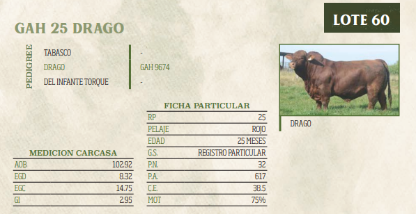 Lote LOTE 60
