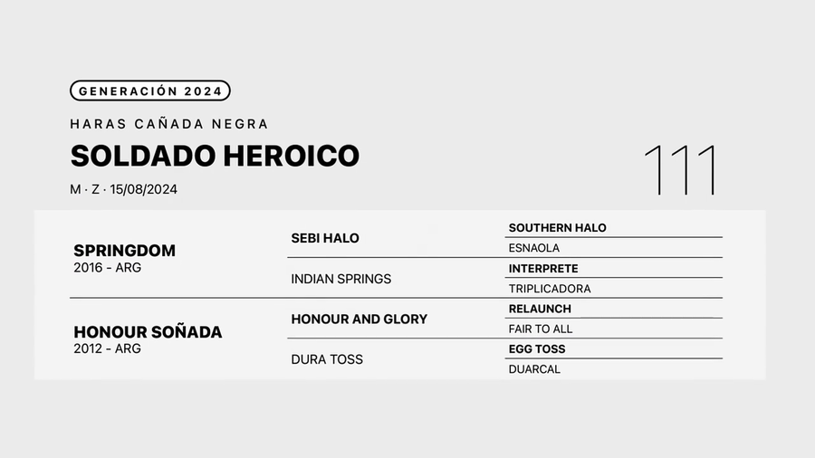 Lote SOLDADO HEROICO