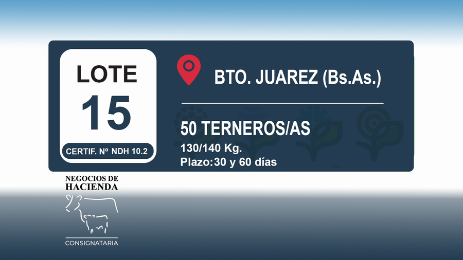 Lote 50 Terneros/as en Buenos Aires, Benito Juárez