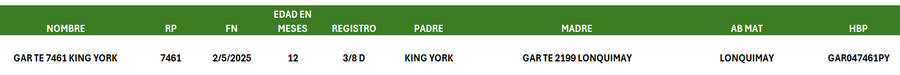 Lote LOTE 2