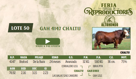 Lote LOTE 50