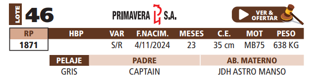 Lote LOTE 46