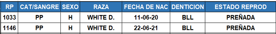 Lote LOTE 58