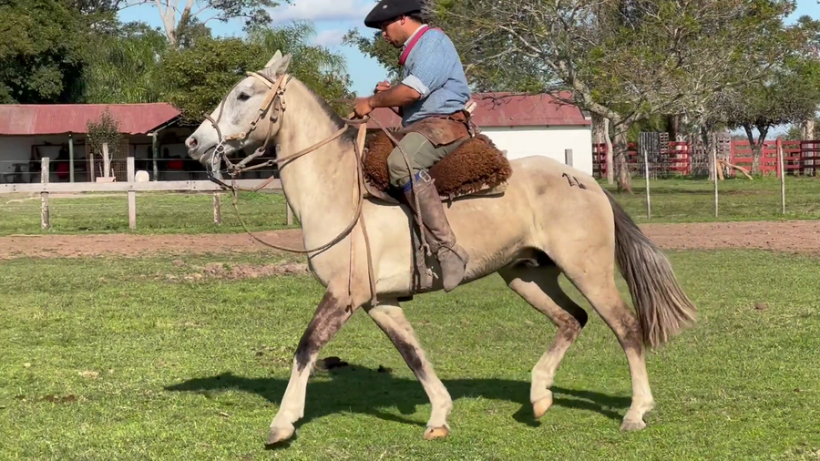 Lote 1 Montados en Corrientes, Curuzú-Cuatiá