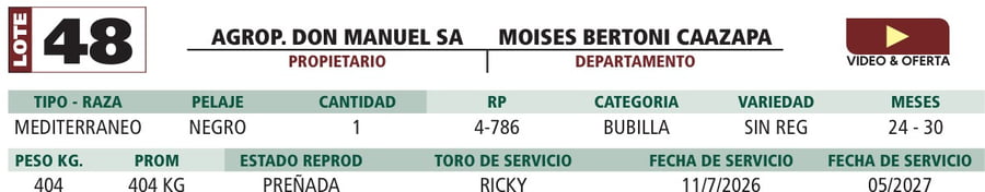 Lote LOTE 48