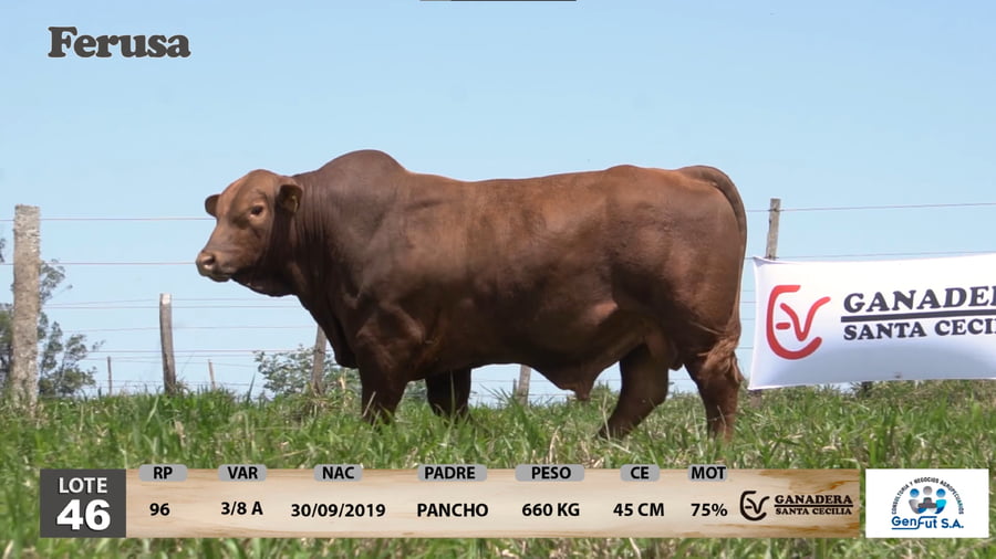 Lote Ganadera Santa Cecilia - Lote 46