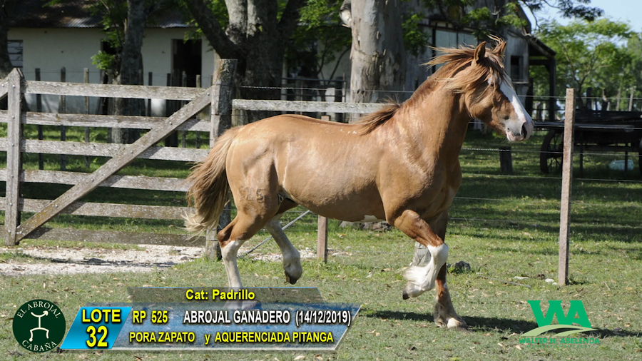 Lote ABROJAL GANADERO