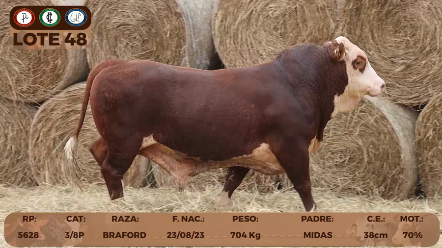 Lote LOTE 48