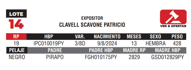 Lote LOTE 14 - JUNIOR