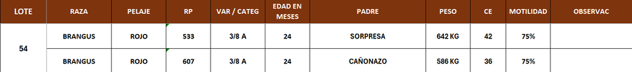 Lote LOTE 54