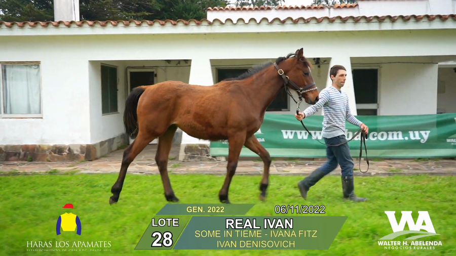 Lote REAL IVAN
