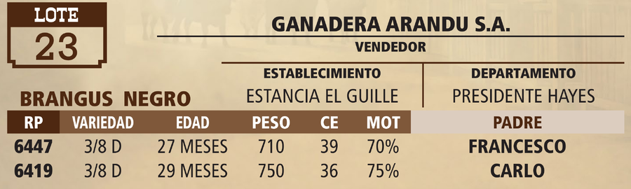Lote LOTE 23 - VIVO
