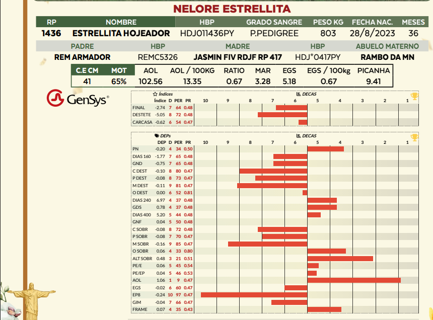 Lote LOTE 23