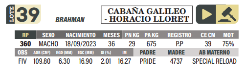 Lote LOTE 39