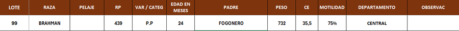Lote LOTE 99