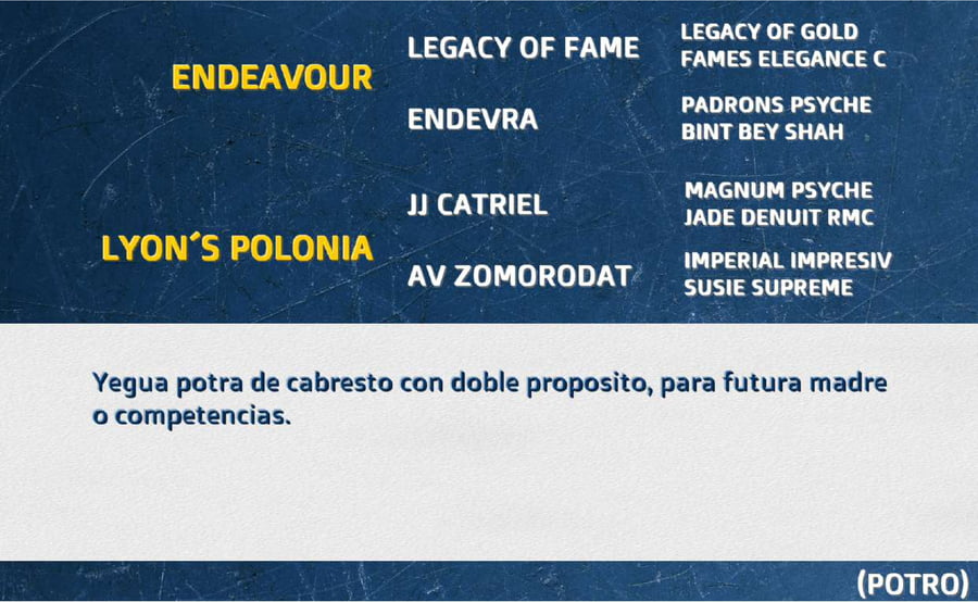 Lote LYON´S MALUCA