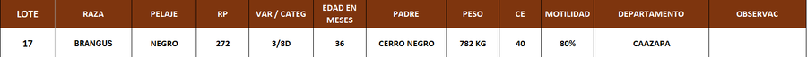 Lote LOTE 17