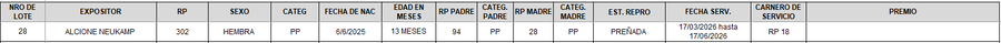 Lote LOTE 28 - CAMPO