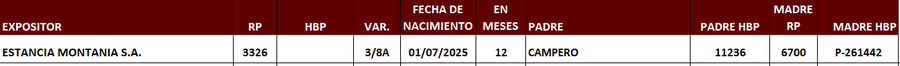 Lote LOTE 24