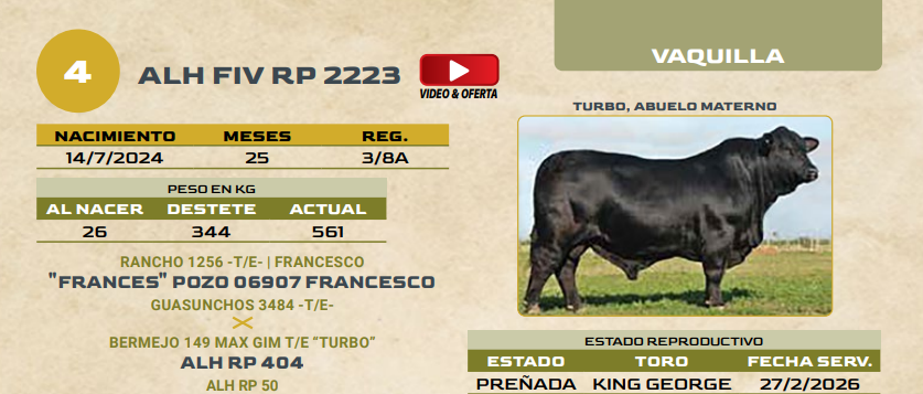 Lote LOTE 4