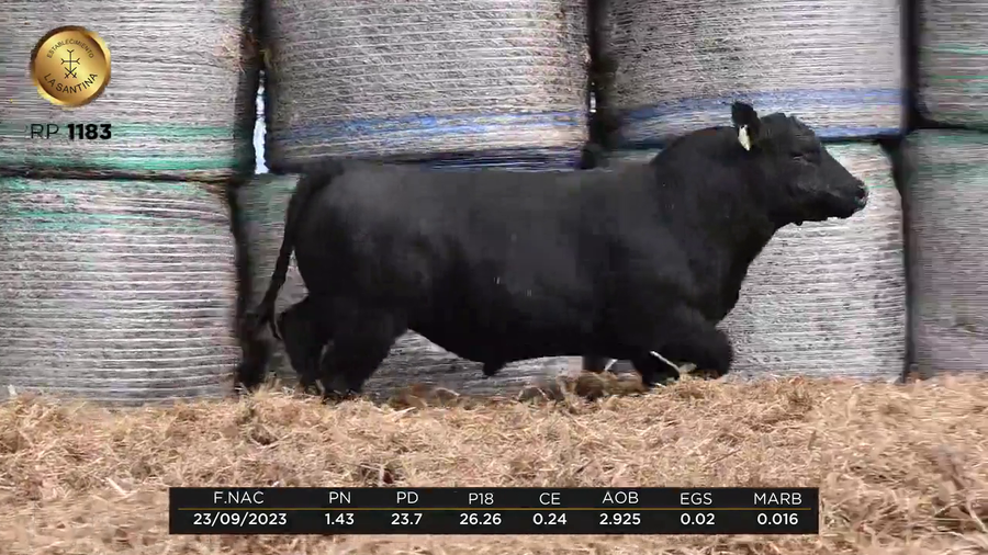 Lote LA SANTINA 4 REAL 558-1183