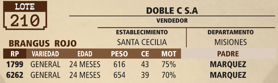 Lote LOTE 210 - VIVO
