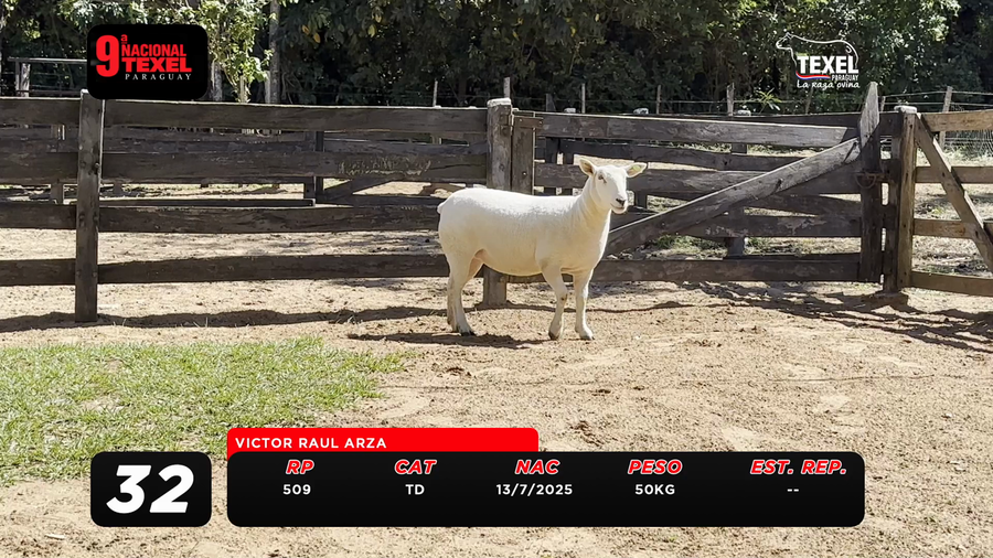 Lote LOTE 32