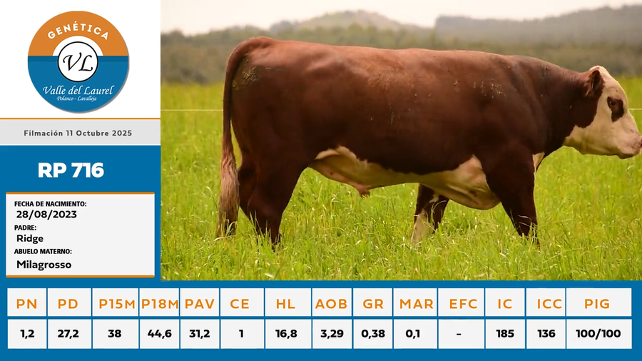Lote 9 - Valle del Laurel