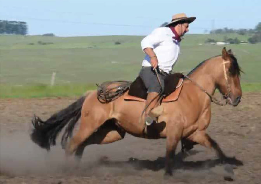 Lote El Gavilán Musulmana (RP 422) Cabaña "El Gavilán"