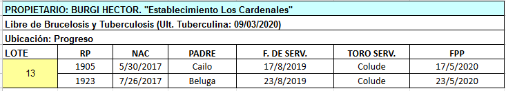 Lote 2 Vaquillonas en Progreso, Santa Fe