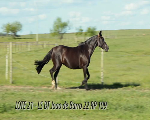 Lote LS BT JOAO DO BARRO 22