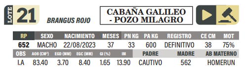 Lote LOTE 21