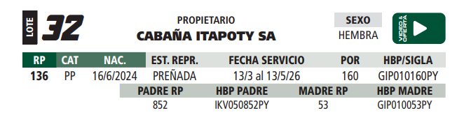 Lote LOTE 32