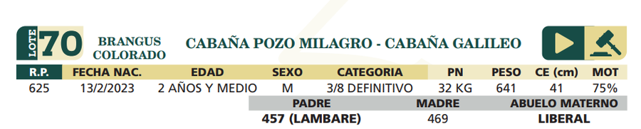Lote LOTE 70