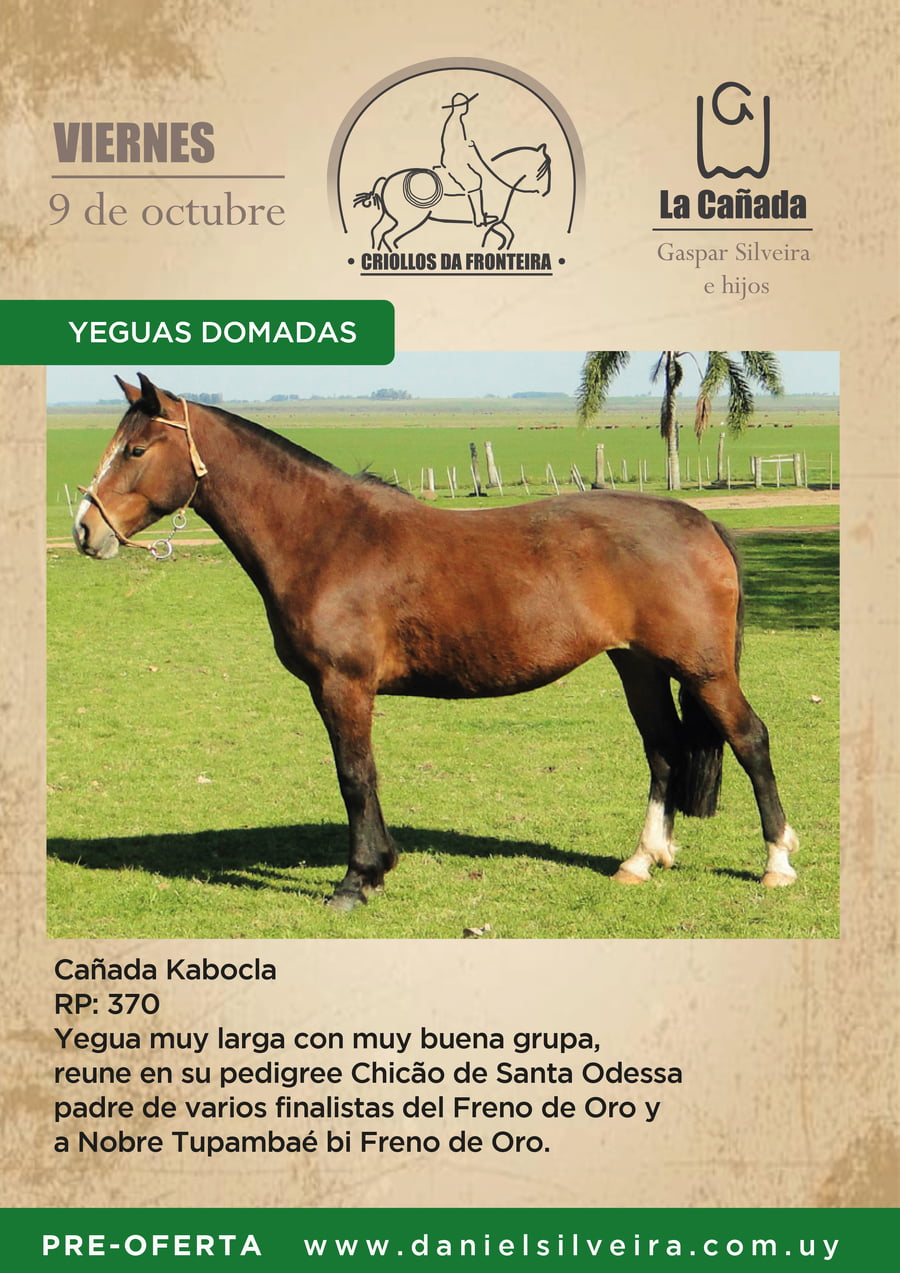 Lote Criollos da Fronteira Cañada Kabocla  RP: 370