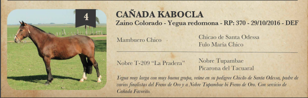 Lote Criollos da Fronteira Cañada Kabocla  RP: 370