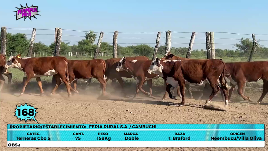 Lote LOTE 168