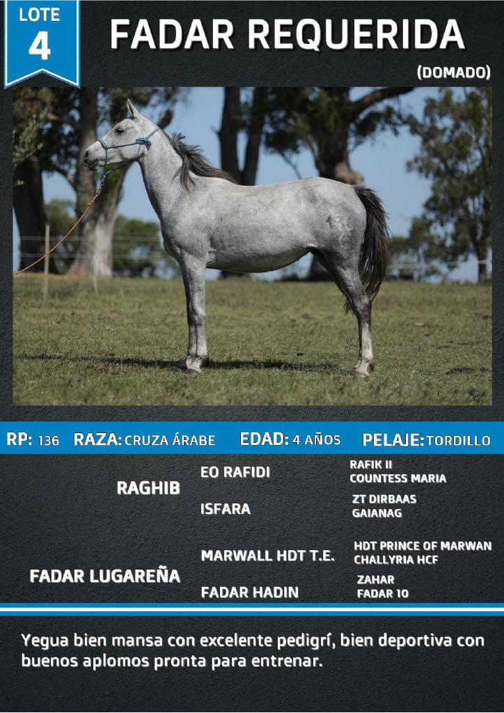 Lote FADAR REQUERIDA