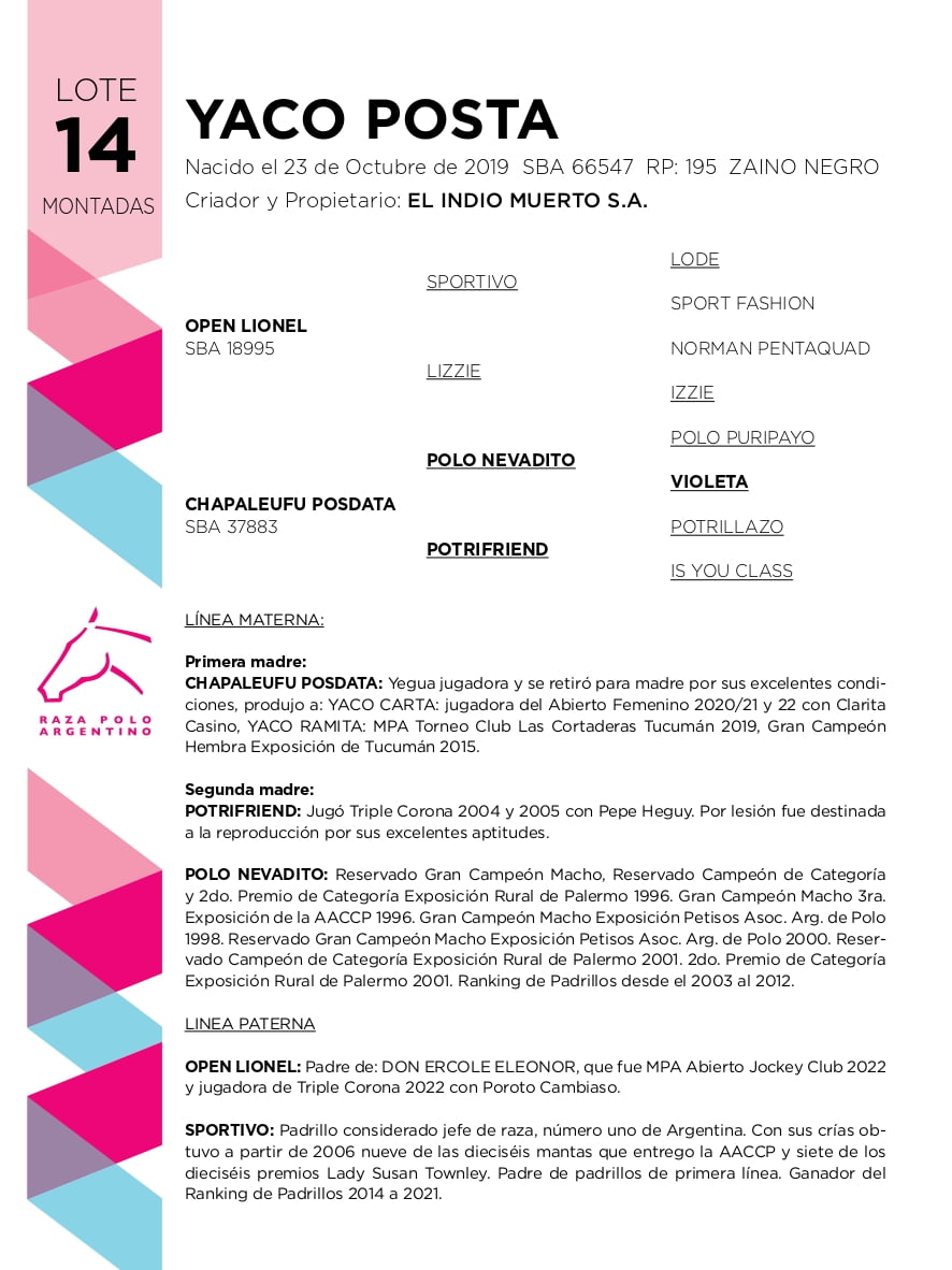 Lote YACO POSTA (OPEN LIONEL - CHAPALEUFU POSDATA)