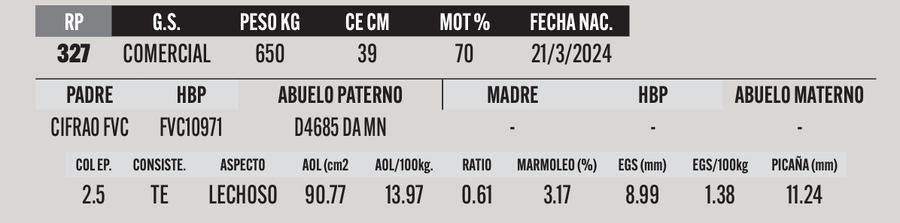 Lote LOTE 31